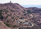 漫山遍野春意浓