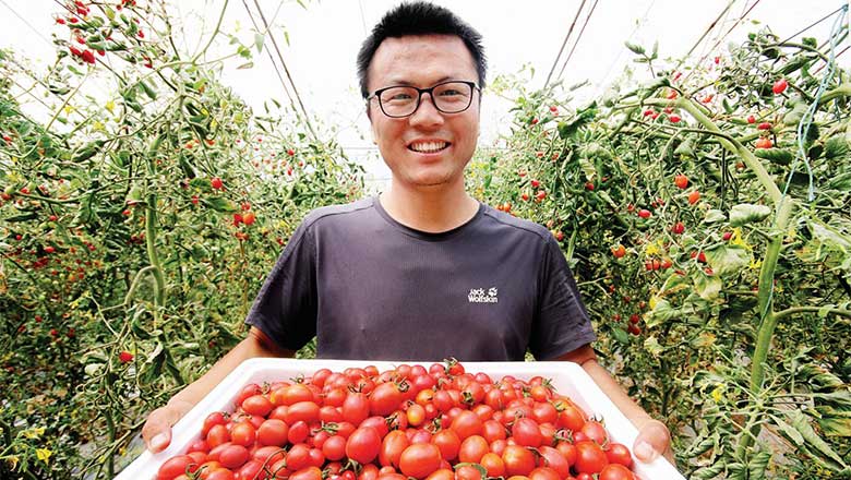 “一环三链”带动增收致富