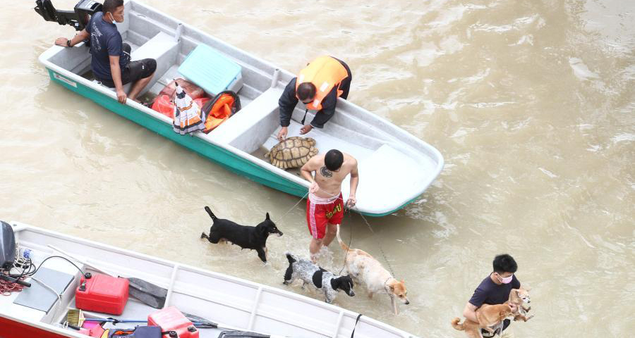 马来西亚强降雨引发水灾约3万人被疏散