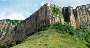 苍松翠柏阳曲山