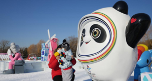 北京市属公园冰雪游园会开幕