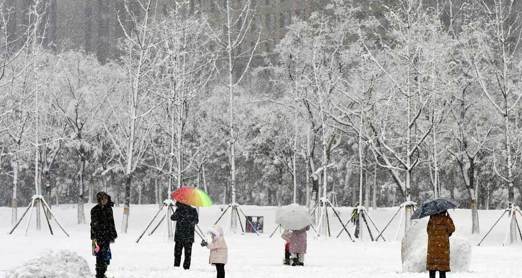 安徽合肥：瑞雪丰年