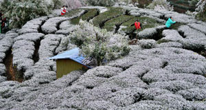 多地迎来降雪