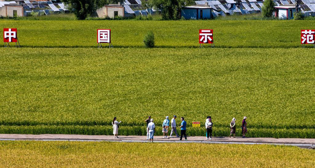 智慧农田让农业观光旅游玩出新花样