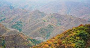 北京：百花山秋色