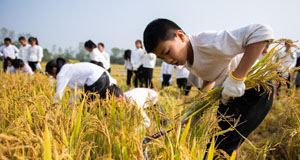 “田间课堂”学农事