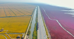 大美湿地城市丨盘锦