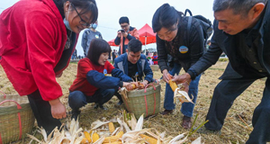 杭州瓶窑举办农民丰收运动会