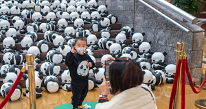 大熊猫巡展 呼吁生物多样性保护