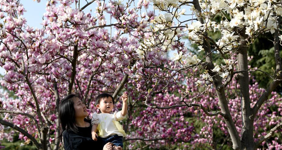 春光无限好 满眼繁花灿