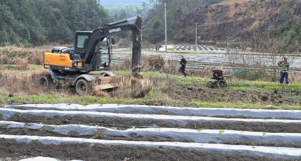 积极探索撂荒地治理新模式