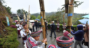 “粤桂协作”旅游专列开进大苗山