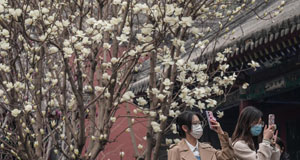 沈阳故宫 花开引游人