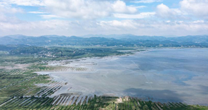 夏日草海景如画