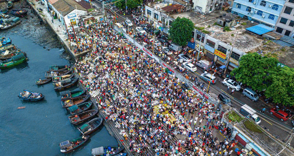 广西北海：渔船归来 渔获到港