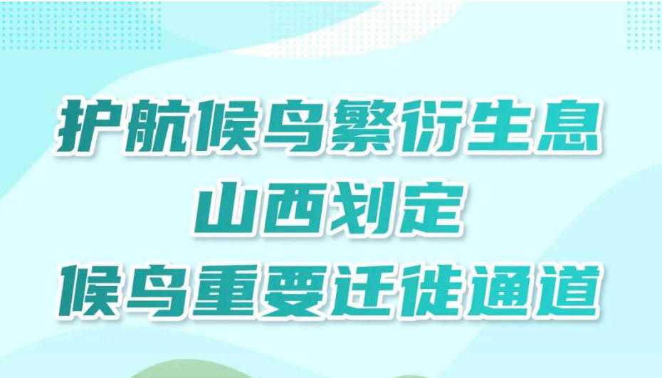 【图解】山西划定候鸟重要迁徙通道