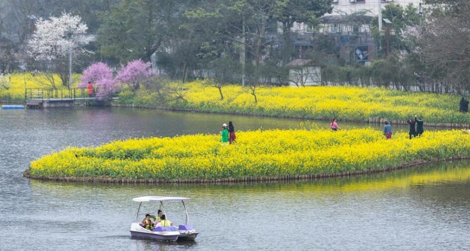 重庆：暖风微拂 花开大地