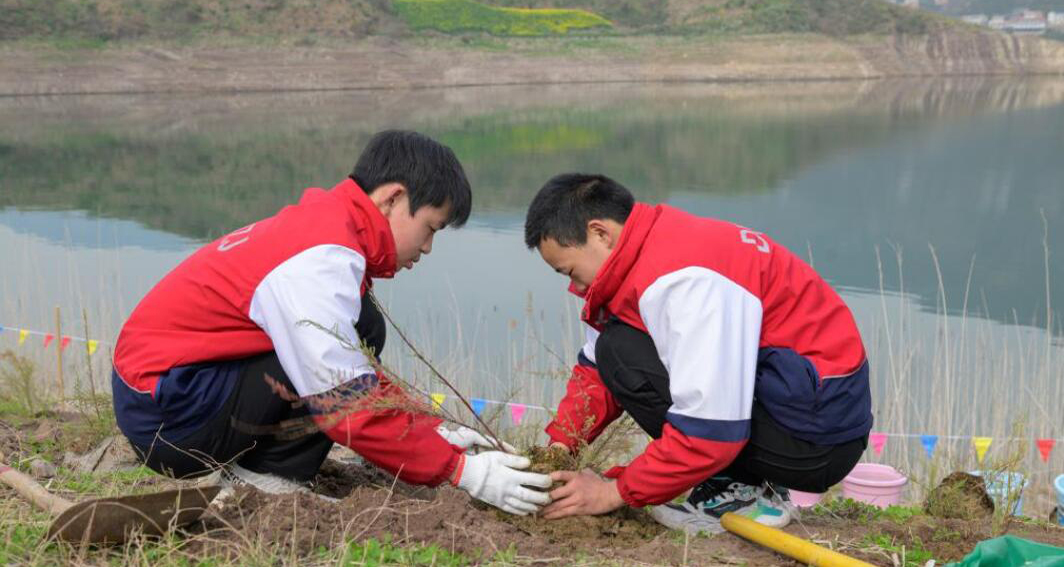 3000株珍稀濒危植物回归三峡库区