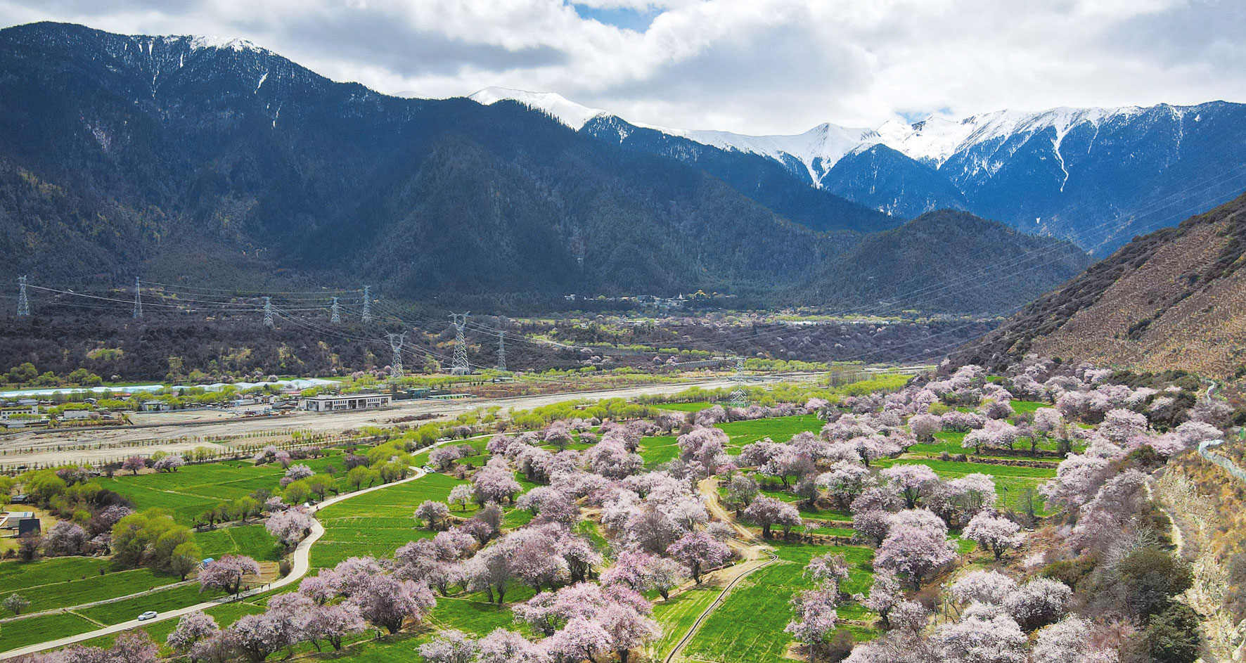 林芝市巴宜区朵当村：桃花盛开