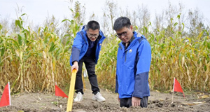  科技赋能助力粮仓丰收