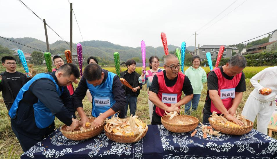 稻田里的农民运动会