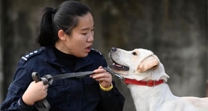 一名“90后”警犬训导员的警察节