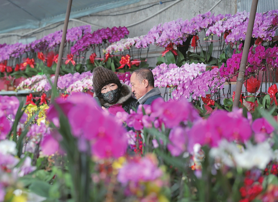 年宵花迎来销售旺季