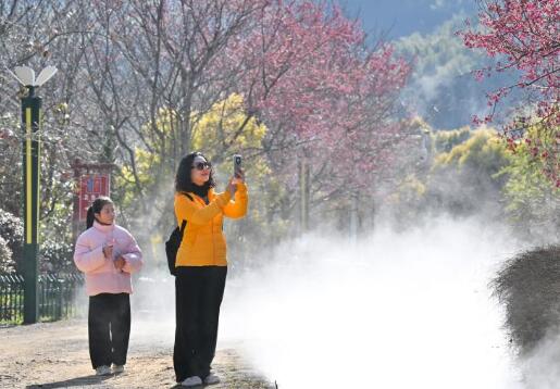 福建：相约春天赏樱花