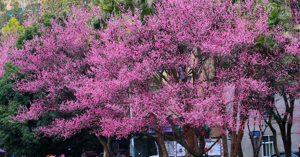 春和景明 乐享周末