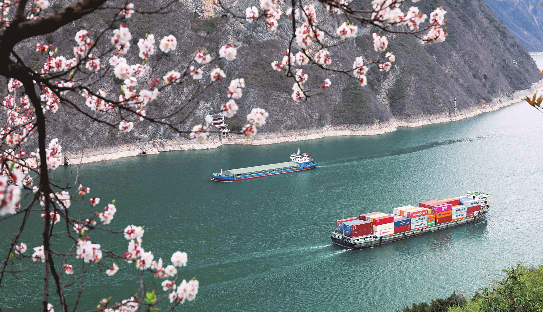 花开神州春意浓