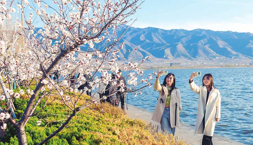 踏青赏花品春味