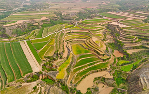 沟壑梯田 美景如画