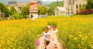 花“漾”夏日