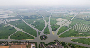 淮音袅袅入湿地 古村新韵绘新景
