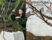 平陆：大棚里的电商课堂