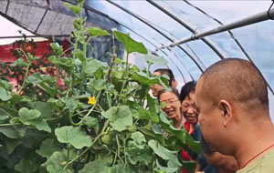 专家授课技术赋能促增收