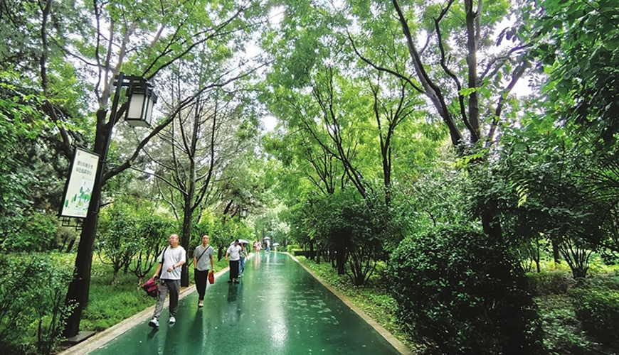 享受公园雨后美景