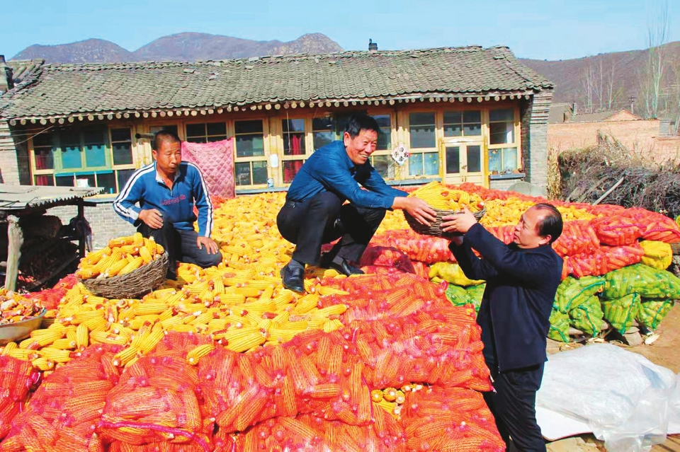 东雷乡人口_人口普查图片(3)