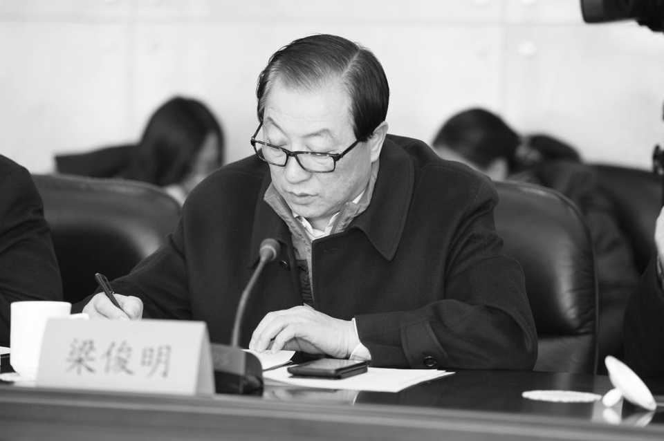 梁俊明魏海生王江霞王爱红刘俊萍杜秀君吕梁代表委员李桦国家税务总局