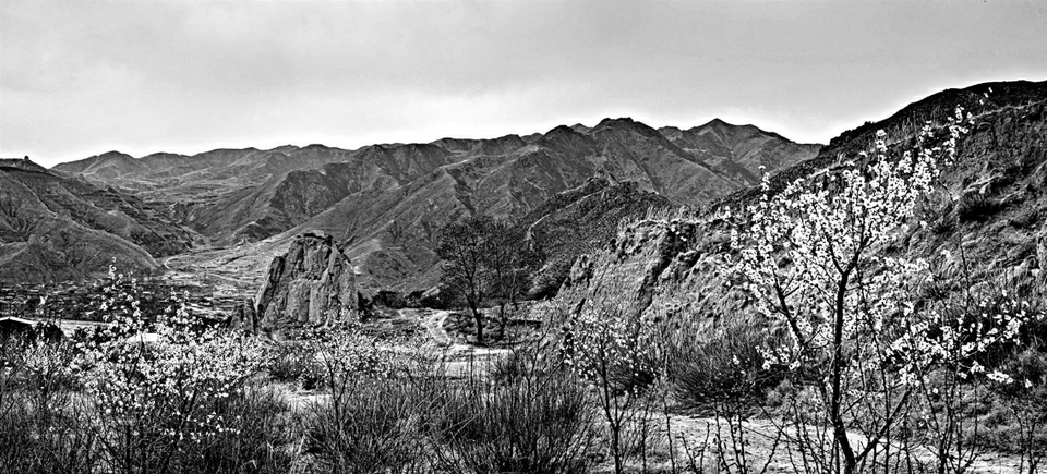 20200415_2e28753d7245a6e546f555edae22a6c4.jpg