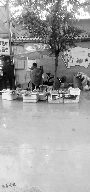 20200806_215afca3d2adbdeea584ce901bd0d4a1.jpg