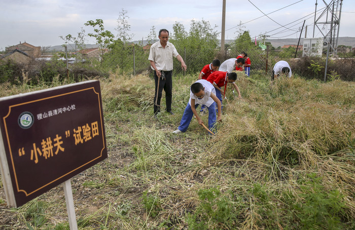 山西稷山：体验农耕文化感受劳动乐趣-26761.jpg