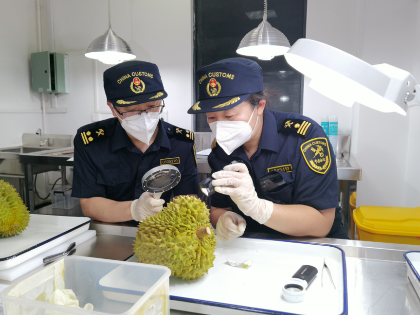 QQ截图20230612155726.png