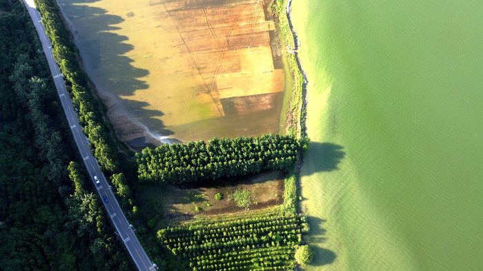 山西运城：黄河一号旅游公路_端午_景色壮美-29444.jpg