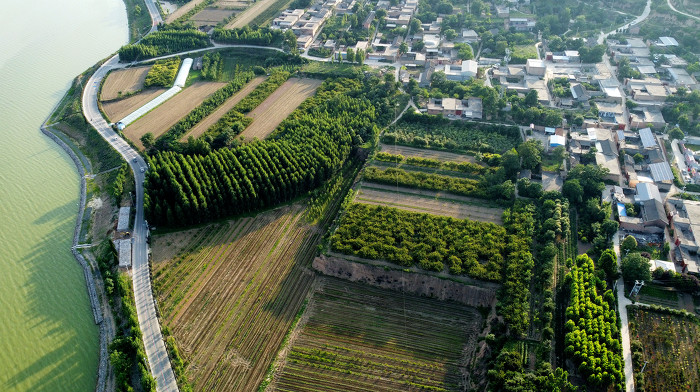 山西运城：黄河一号旅游公路_端午_景色壮美-29452.jpg