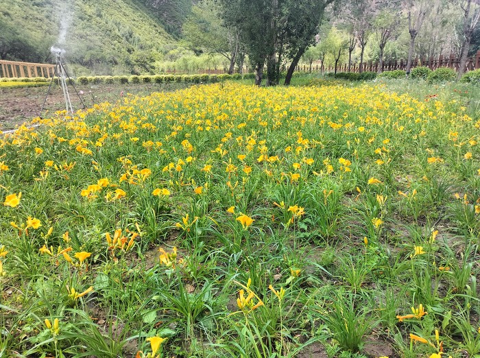 康养胜地清凉五寨沟++初伏喜迎避暑客-30529.jpg