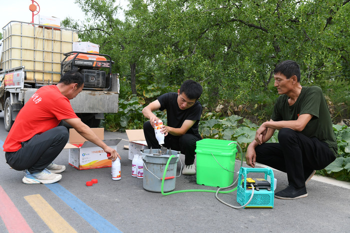 稷山：飞防作业为万亩枣林治虫撑起“保护伞”-31598.jpg