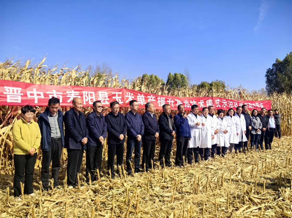 QQ截图20231031215919.png