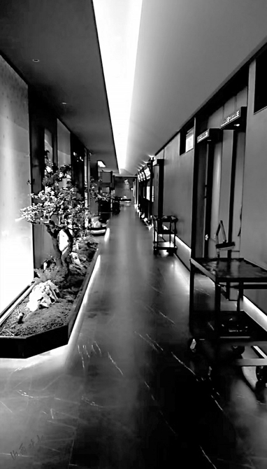 20240110_c1caa84d740d674789c0b97327415cd6.jpg