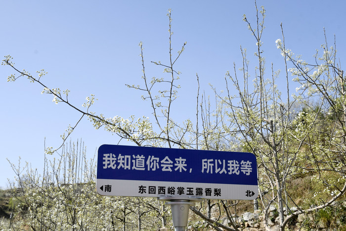 阳泉:平定县东回镇打造品牌旅游节++助力乡村经济发展-47588.jpg